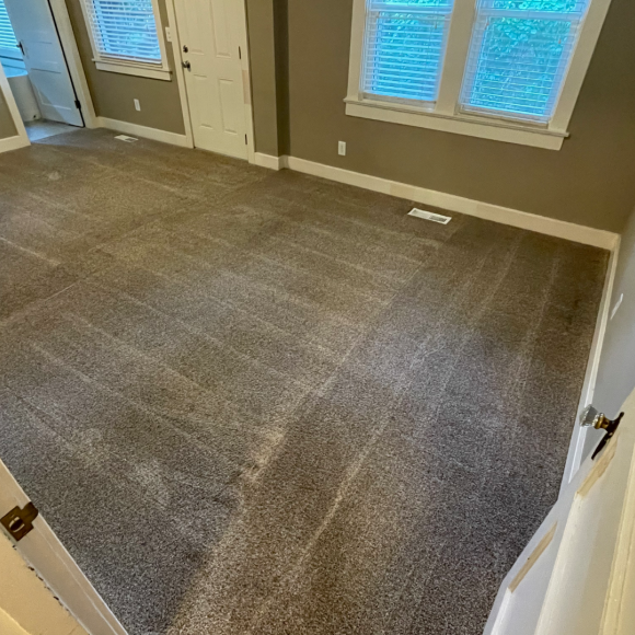 carpet cleaning